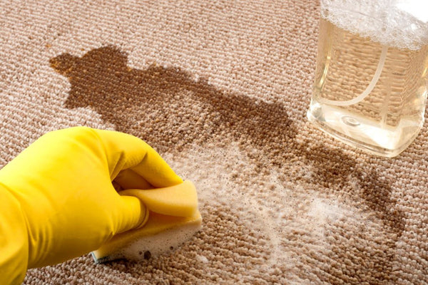 How Do You Get Eyeshadow Out Of Carpet?