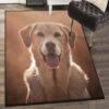 labrador dog carpets for living room labrador rug