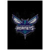 Charlotte Hornets Blankets FLeece Blanket Throw Blanket charlotte hornets blankets fleece blanket throw blanket v15