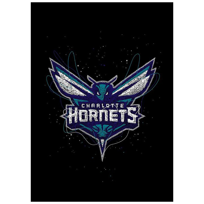 Charlotte Hornets Blankets FLeece Blanket Throw Blanket