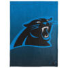 Carolina Panthers Blankets - Sherpa Blanket for Bed - Soft (Queen Size) carolina panthers blankets sherpa blanket for bed soft queen size ver 31