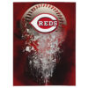Cincinnati Reds Blankets - Sherpa Blanket for Sofa - Lightweight (Queen Size) cincinnati reds blankets sherpa blanket for sofa lightweight queen size ver 29