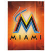Miami Marlins Blanket - Sherpa Blanket for Couch - Warm (Throw Size) miami marlins blanket sherpa blanket for couch warm throw size ver 46