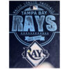 Tampa Bay Rays Blankets - Fleece Blanket for Sofa - Lightweight (Queen Size) tampa bay rays blankets fleece blanket for sofa lightweight queen size ver 7